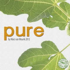 Pure Single iTunes 2014