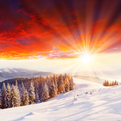 The Winter