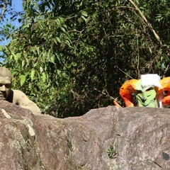 Véia Tônha & Os 22 No Doubt - Azorgado