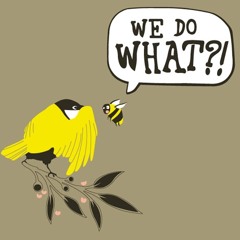 BirdNests&Beehives(instro prod by MassGuiliano)