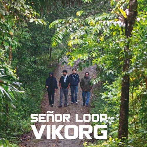 Sr. Loop. El Mono Y La Culebra