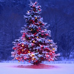 O Christmas Tree