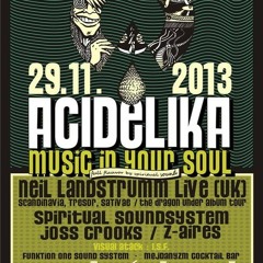 NEIL LANDSTRUMM LIVE@ACIDELIKA PRAGUE 29/11/2013