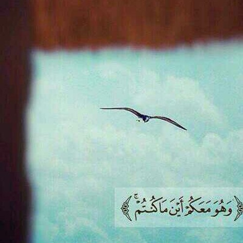 ولقد خلقنا الانسان ونعلم ماتوسوس به نفسه..قراءة جدا رااائعه ماشاء اله تبارك الرحمن..للقاري : وديع اليمني