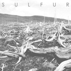 SULFUR - This Flesh Belongs To Mother Earth