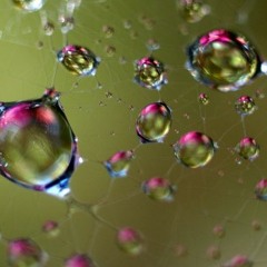 MIX DECIBULLE ORGANIC SOUND