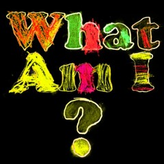 What Am I   (Twist - Mikee - Bubba - PhD - 5Foot) Dj Subliminal
