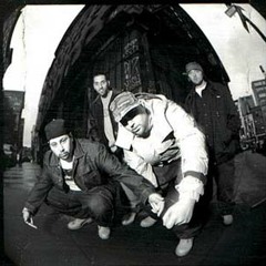 Non Phixion - If You Got Love