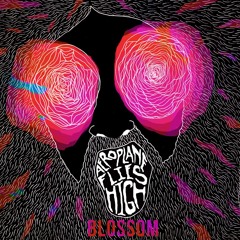 Aeroplane Flies High - Blossom