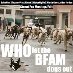 WHO Let The BFAM Dogs Out (Street Fox Mashup/Edit)