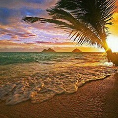 A Bad Bitch By: J$MON€Y