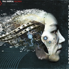Paralocks - Time Paradox