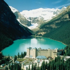 The FlexMachine - Forbidden Love