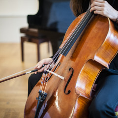 Antonio Vivaldi - Winter 2. Satz Cello/Klavier