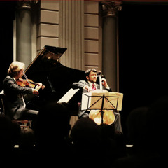 Johannes Brahms: Piano Trio in B, opus 8 - 1e movement