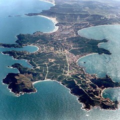 Sweet Child O'mine   Flat Pack (versione House)