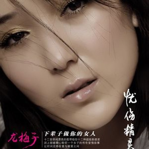 下辈子做你的女人 (REMIX) - 龙梅子