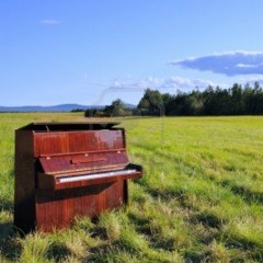 Jazzylla-piano's plain