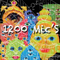 1200 micrograms - 1200 Mic´s  (cd mix by Rikki Rokkit)