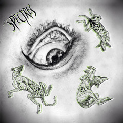 Spectres - The Sky Of All Places