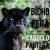 Artwork for Ponto do Cabloco Pantera Negra
