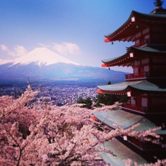 Spring in Japan (The Cherry Blossoms Finally Bloomed)