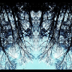 Pennton Palace Improv