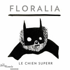 Le Chien Superr - Gestiefelte (Sid Baxter Remix)