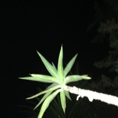 Marcos Miller Deep Tec House Mix