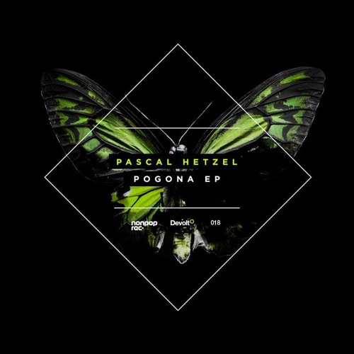 Pascal Hetzel - The Toy [nonpop records]