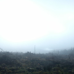 chassa : en stamma : le passage (2013)