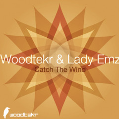 Woodtekr - Catch The Wind (ft Lady Emz) (clip) (Out Now Liquid Boppers)