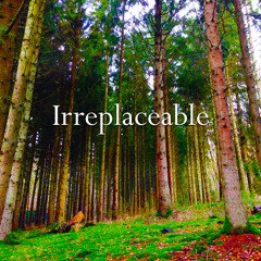 Irreplaceable