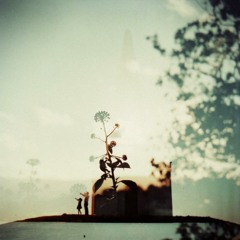 5（off vo. demo） / 害虫