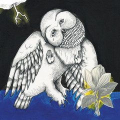 Songs: Ohia - The Big Game Is Every Night