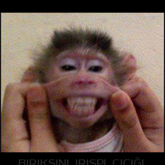 ifyou