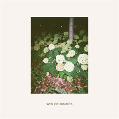 Web of Sunsets "Fool's Melodies"