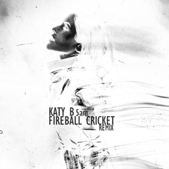5am (Fireball Cricket Remix)