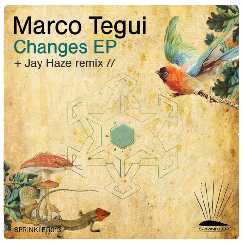 Changes EP Inc. Jay Haze Remix / Sprinkler Music