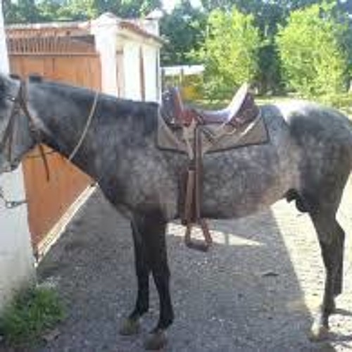 Laberinto epicenter mix