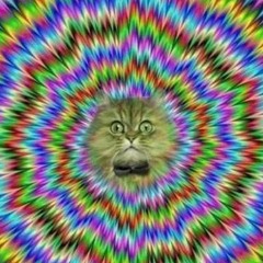 Gummy Bears (Ft. BASH & POPS B)