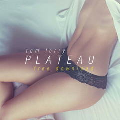 Tom Ferry - Plateau (Original Mix)