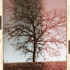 Album Arrangement Part Deux - Track 1