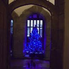 Blue Christmas Tree