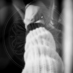 Я Тебя Очень.