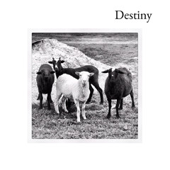 I Fell Under Your Spell (with Banjo)