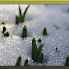 Wacky D - Spring Comes! - Wintermix 2013 Part 2