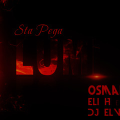 Sta Pega Lumi Ft. Eli H & Shrek (DJ Elvis Prod.)