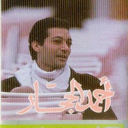 مشمش