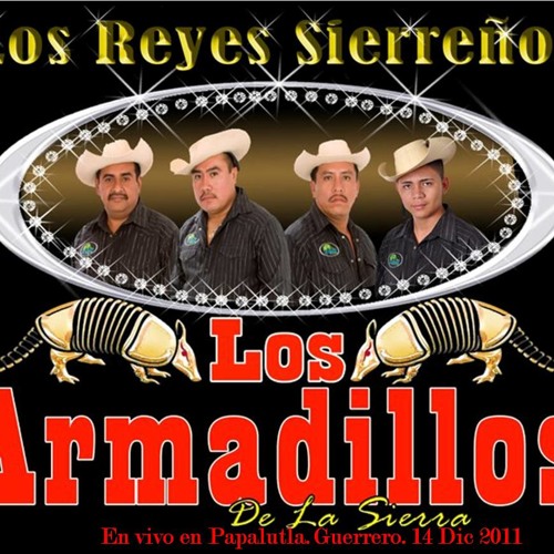 Stream LOS ARMADILLOS DE LA SIERRA EN PUENTE DE IXTLA, MORELOS. by ...